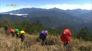 20160306【713】MIT台灣誌 負北極震盪 雪拚台灣 高山特種行業 戰鬥七卡