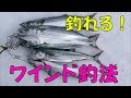 ワインド釣れすぎ！【フック１つで奇跡のダブルヒット！？】