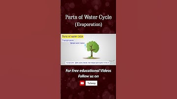 Water Cycle | Parts of Water Cycle | Evaporation | Transpiration | Water Vapour