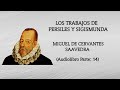 MIGUEL DE CERVANTES SAAVEDRA LOS TRABAJOS DE PERSILESY SIGISMUNDA (AUDIOLIBRO PARTE 14)