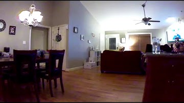 Arlo by Netgear HD camera review - indoor & outdoor - motion detection security - more to come demo