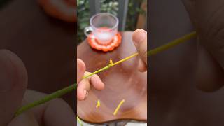 Crochet for beginners #howtocrochet #crochetforbeginners #crochet #moclentivi #tutorial #pantern