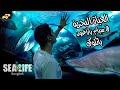 ح 7 السياحة في تايلاند | زيارة إلى الحياة البحرية في مول سيام باراغون بانكوك | SEA LIFE BANGKOK