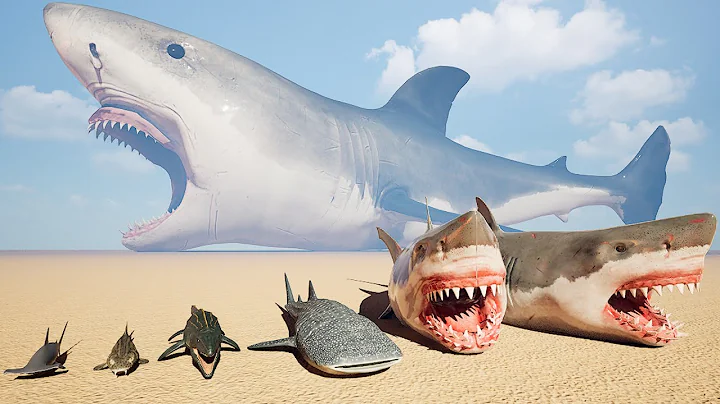 Shark Size Comparison | 3D Animation Comparison