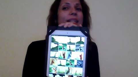 CAPSTONE 2  LESSON 1 READING AND WRITING WITH TECHNOLOGY THE LITTLE PRINCE AND THE FOX