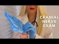 Asmr cranial nerve exam