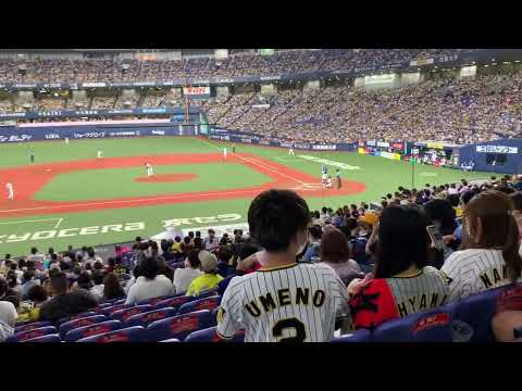 2022プロ野球 ケラー登場曲&龍空を三振に抑える