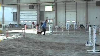 2011-12-09 02.57.01 DogShow.avi