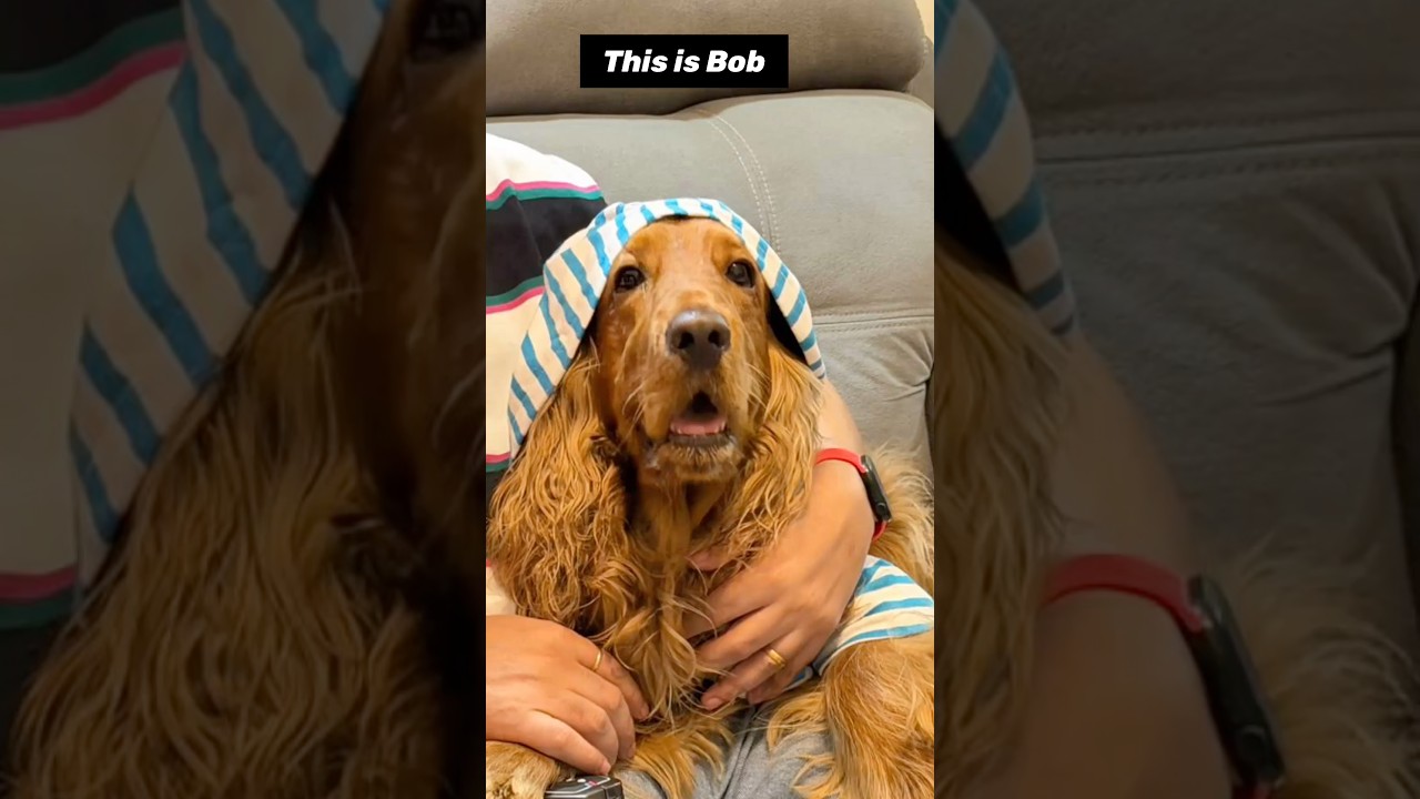 Личное пространство — это всего лишь рекомендация 😭 