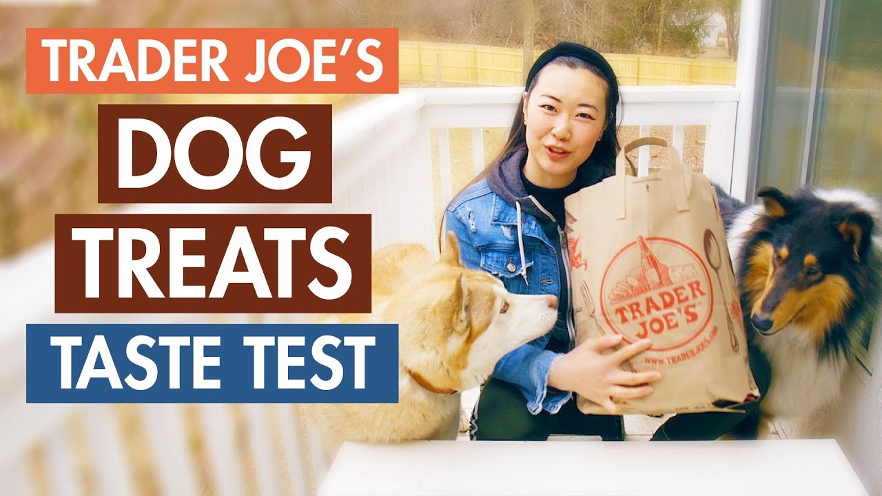 Trader Joe's Haul Taste Test Dog Treats with Husky & Collie YouTube