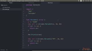 Begin Soln in Go–The Basics, Clients & Servers:Convert Data Type & Interface Casting| packtpub.com