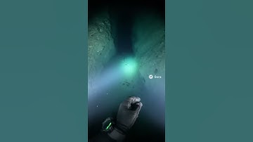 fd#DeepWater  #NightDive #UnknownSpecie  #Lakebed#Flashlight