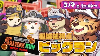 【サーモンランNW】ランダム編成ということは【樫城槌・八波はるかげ・七菱ルート・蜜虎/Vtuber】