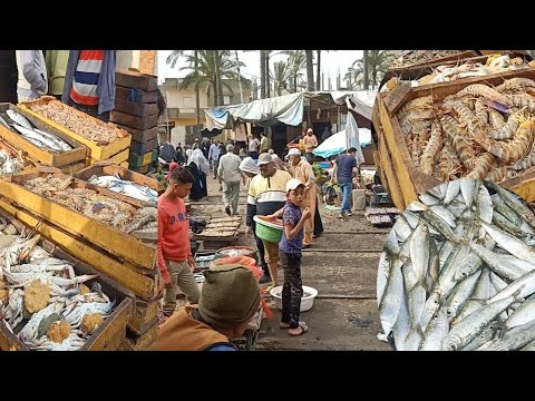 الجزء الثاني أسماك المعديه اسعار السمك اليوم الاسكندريه الآن المعدية الاسكندريه الآن الاسكندرية