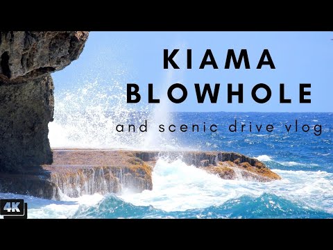 【4K】 Sydney to Kiama Scenic Drive | Kiama Blowholes |  Australia Ultimate travel guide #australia