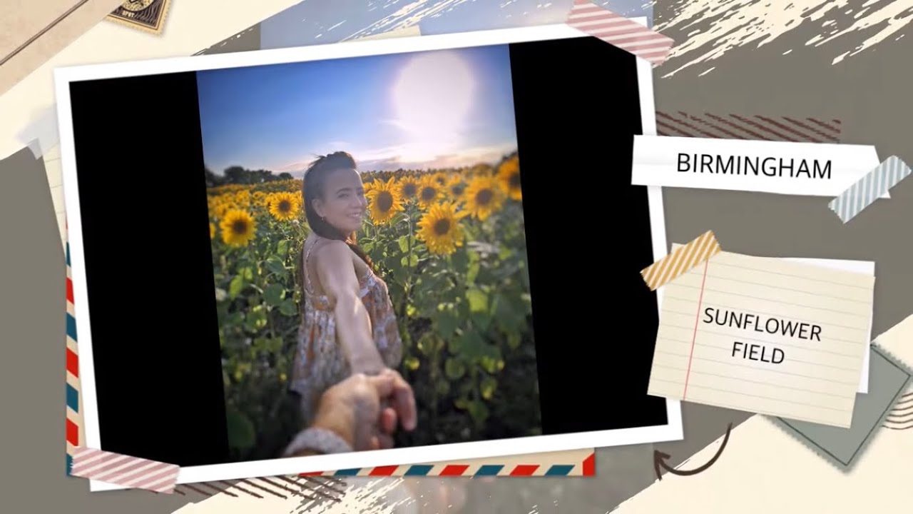 BIRMINGHAM SUNFLOWER FIELD YouTube