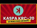 Kaspa krc20  les meme sur kaspa  pump  nouvel asic