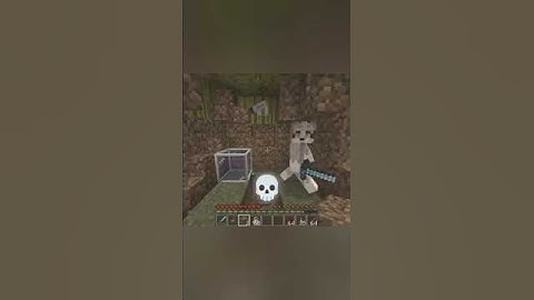 Acenix: cagaste 💀#humor #phonk #loscompas #epico #minecraft #troll #acenix