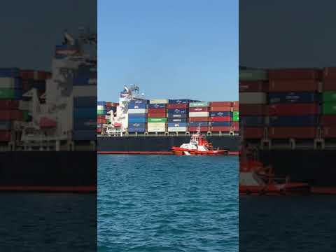 Tugboat operations at Port of Koper - Towing APL Austria Containership part.2 #shorts
