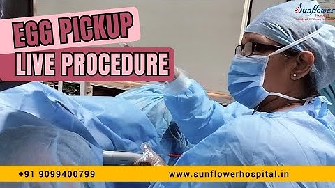 Live Demonstration of Ovum pickup to Collect Female