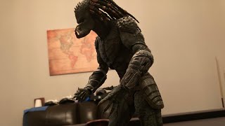 Ultimate Assassin Predator VS Predalien