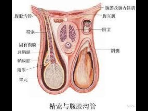 副睾丸炎 睾丸が痛い 効果がある自然療法 東京 新宿 Youtube