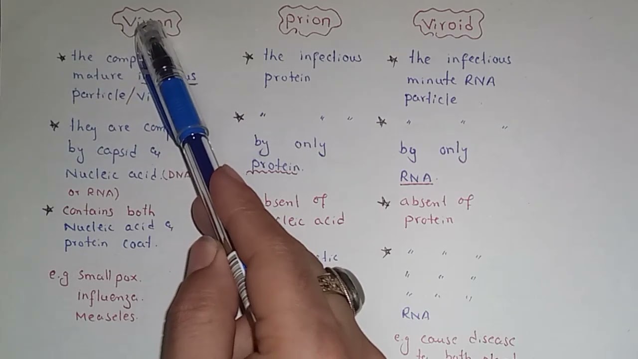 Explanation Of Virion, Prion And Viroid | Class 11 Biology