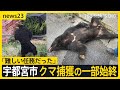 宇都宮のクマ捕獲「難しい任務だった」麻酔銃3発のうち1発が命中　周辺では“2頭目”の出没警戒…市立の小中学校は引き続き臨時休校【news23】｜TBS NEWS DIG