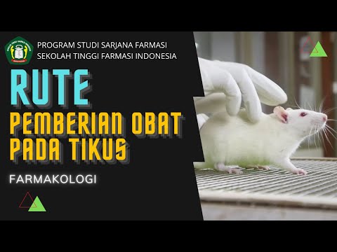 Video: Obat Yang Menggantikan Olahraga Telah Diujicobakan Pada Tikus - Pandangan Alternatif