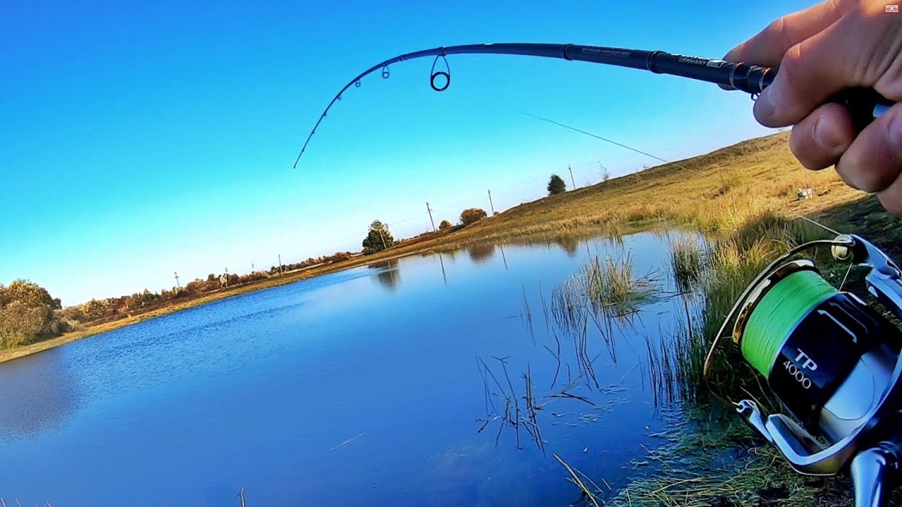 СКОЛЬКО ЩУКИ В ЭТОЙ ЛУЖЕ? Ловля щуки на ТВИЧИНГ в октябре 2021! Щука на воблеры осенью 2021!