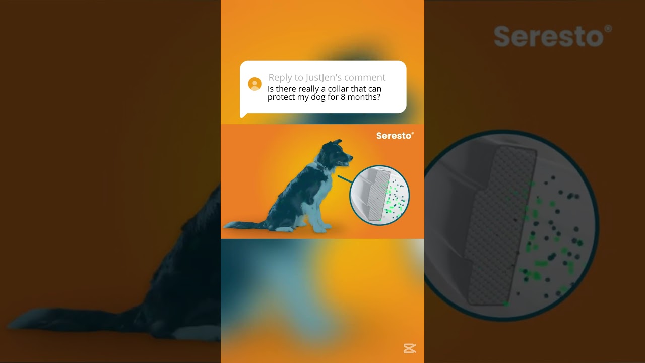 Seresto Tick & Flea Collar