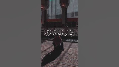 تلاوة خاشعة لآيات من سورة لقمان ||بصوت القارئ علي جابر رحمه الله