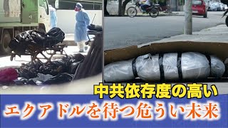 中共依存度の高いエクアドルを待つ危うい未来【疫病と中共】