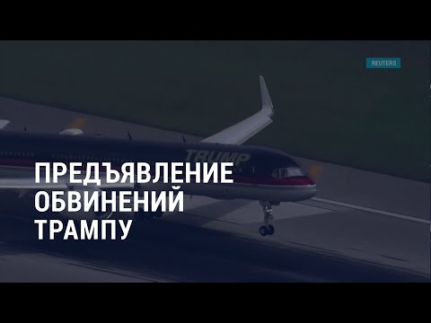 Видео: Нет Пуч? Без проблем! Эта программа устанавливает вас с четырехногим пешеходным компаньоном