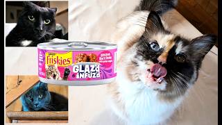 Chise's Cat Food Review w/ Bojji & Nadja | Friskies GLAZ'd iNFUS'd Shrimp | S2E6 | Part 2