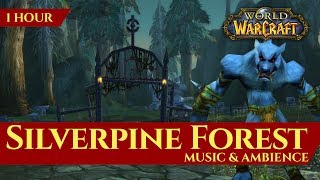 Vanilla Silverpine Forest - Music & Ambience (1 hour, 4K, World of Warcraft Classic)