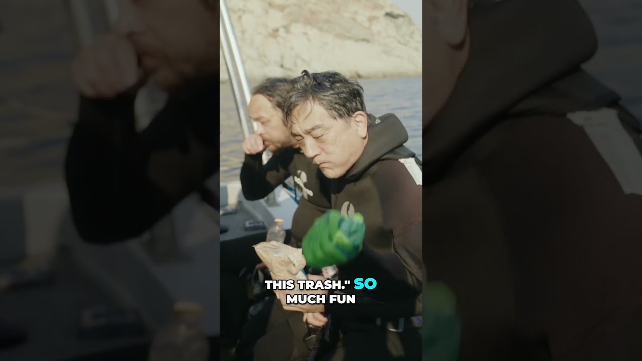 Epic Free Dive  Exploring Shipwreck & Ocean Cleanup