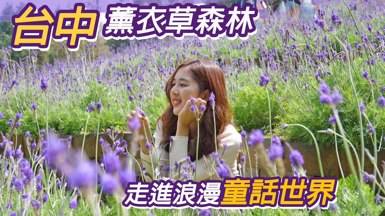 台中新社薰衣草森林｜紫色花園童話世界｜約會景點推薦
