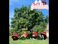 #roblox