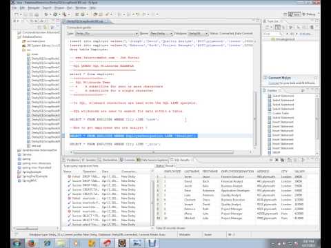 SQL QUERY LIKE WILDCARDS