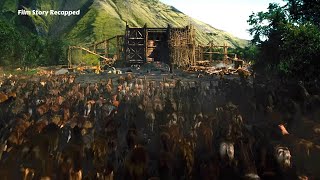 Noah built the ark, guided by God, to save all kinds of creatures except human beings.