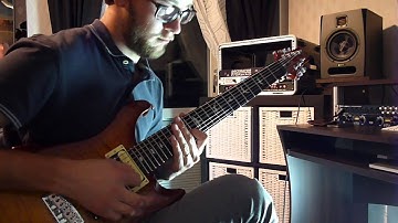 PRS SE custom 24 7string Metal