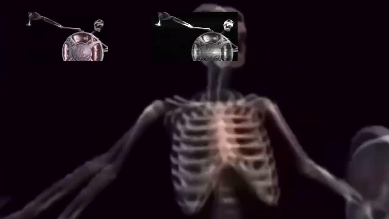Skeleton Banging Shield Sparta Remix