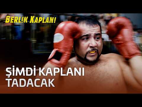 Now He Will Get a Taste of the Tiger | Berlin Kaplanı
