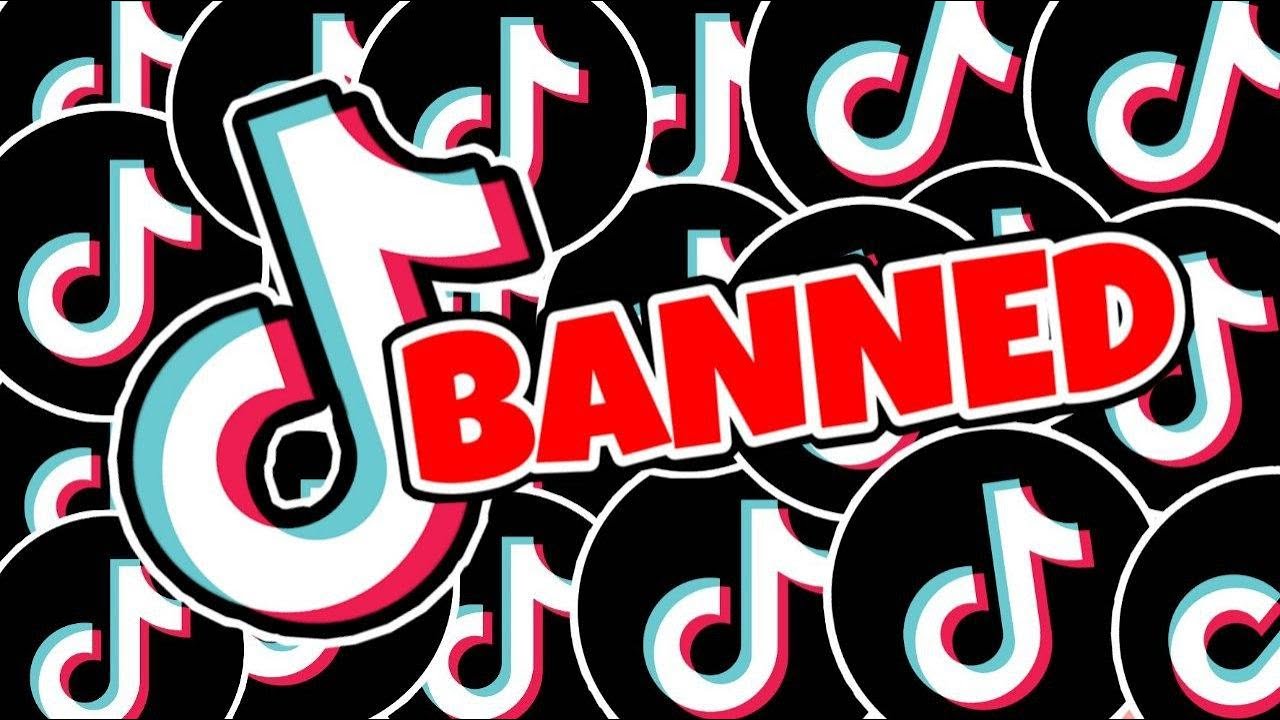 TIKTok ban | RIP TIKTOK | tiktok banned in India reaction | Satire wale News with Babban Singh