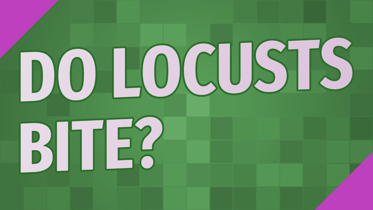Do locusts bite? - YouTube