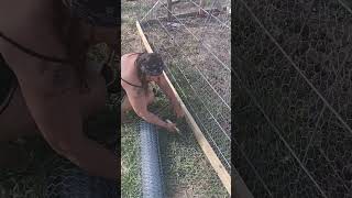 Chicken Coop