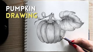 How To Draw a Pumpkin | Pencil Shading Technique for Beginners | Easy Pumpkin Drawing-Pencil Sketch News
