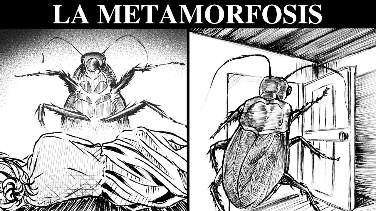 El VERDADERO SIGNIFICADO De La METAMORFOSIS De Franz KAFKA