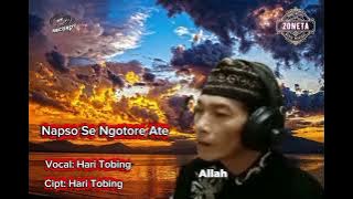 Download lagu Napso SE Ngotore Ateh